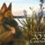 GSD Calendar 2027
